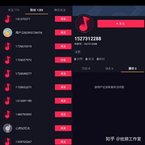 抖音1元1000个粉丝