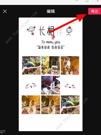 抖音怎么搜？轻松掌握抖音搜索技巧，发现更多精彩内容！