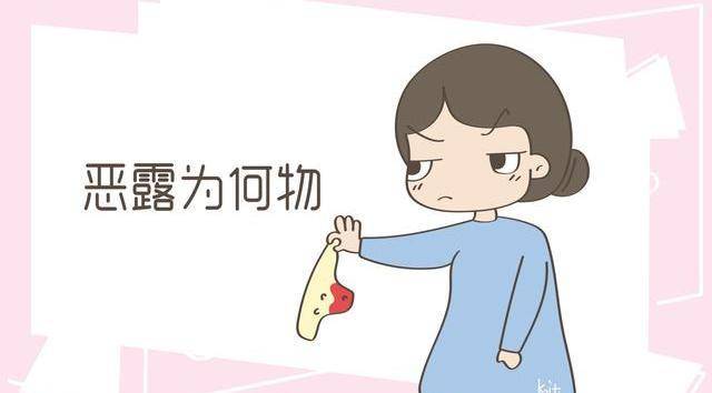 B站怎么投币：三步轻松掌握投币技巧，支持UP主更轻松！