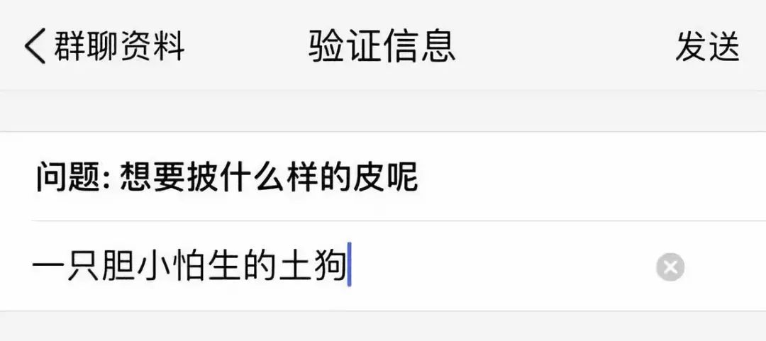 如何轻松加入小红书群聊狗，享受更多福利与互动