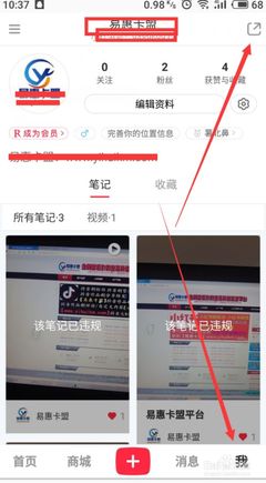 小红书如何使用ID账号登录