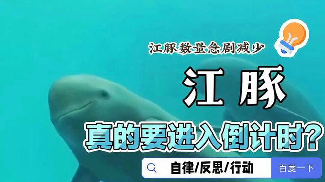 鲸鱼阅读公众号——让阅读成为生活中的享受